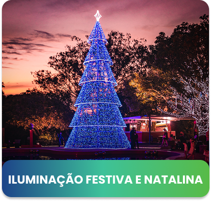 https://remo.com.br/servicos/iluminacao-festiva-e-natalina/